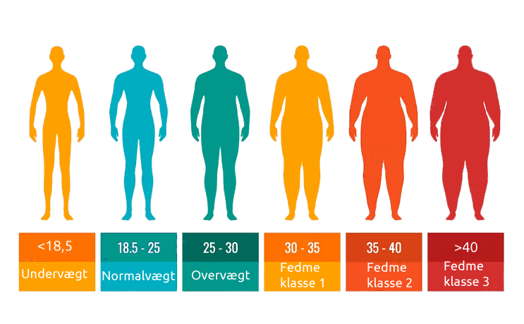 BMI værdiger
